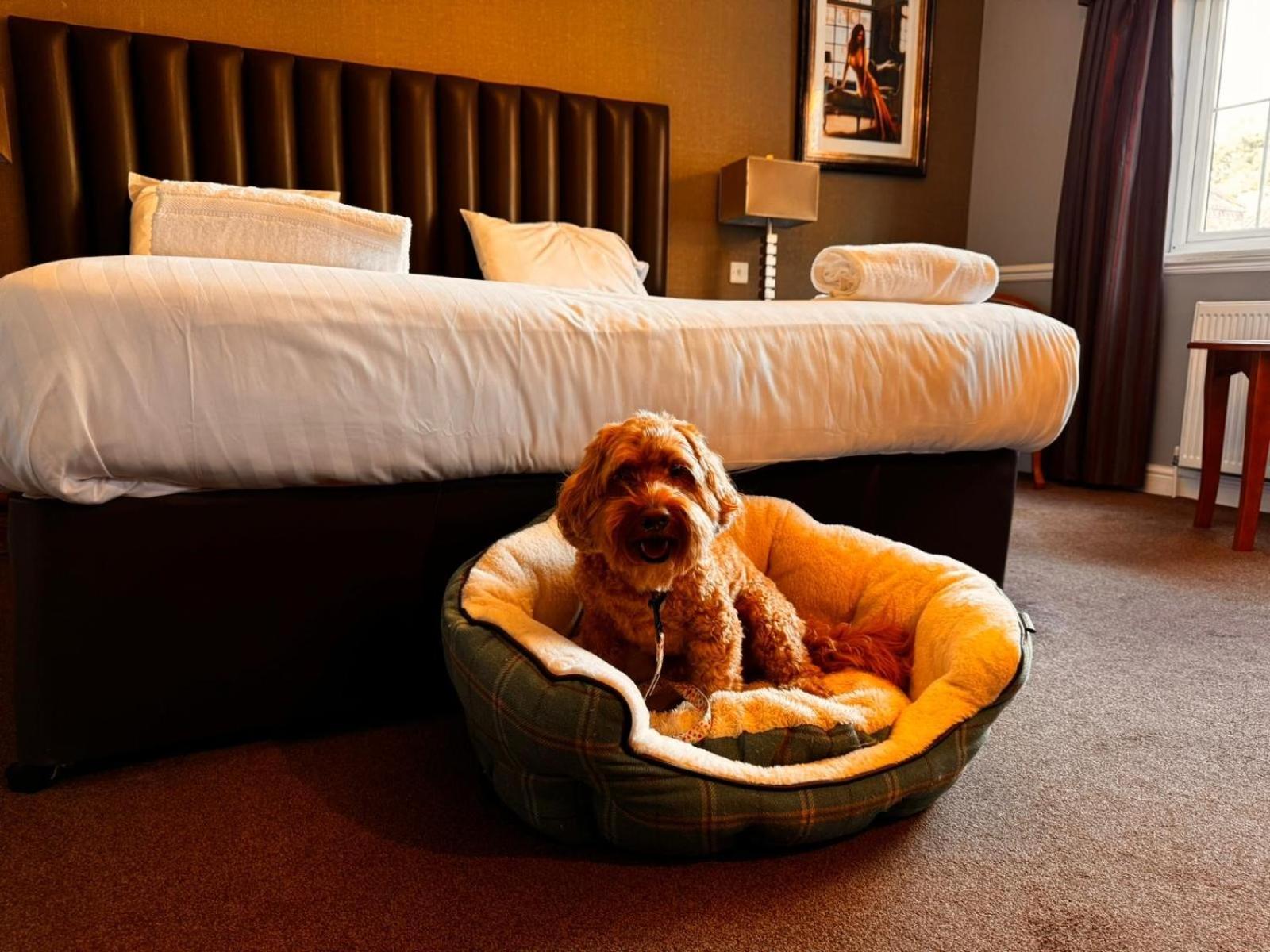 The Ashbourne Hotel North Killingholme エクステリア 写真