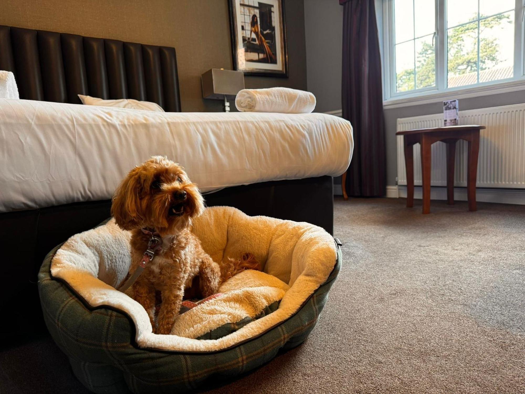 The Ashbourne Hotel North Killingholme エクステリア 写真